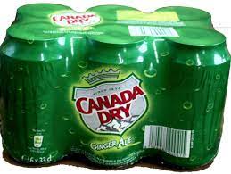 LOT 6 BOITES CANADA DRY 33CL